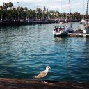 Анастасия Быханова