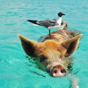 Онорина Захарычева