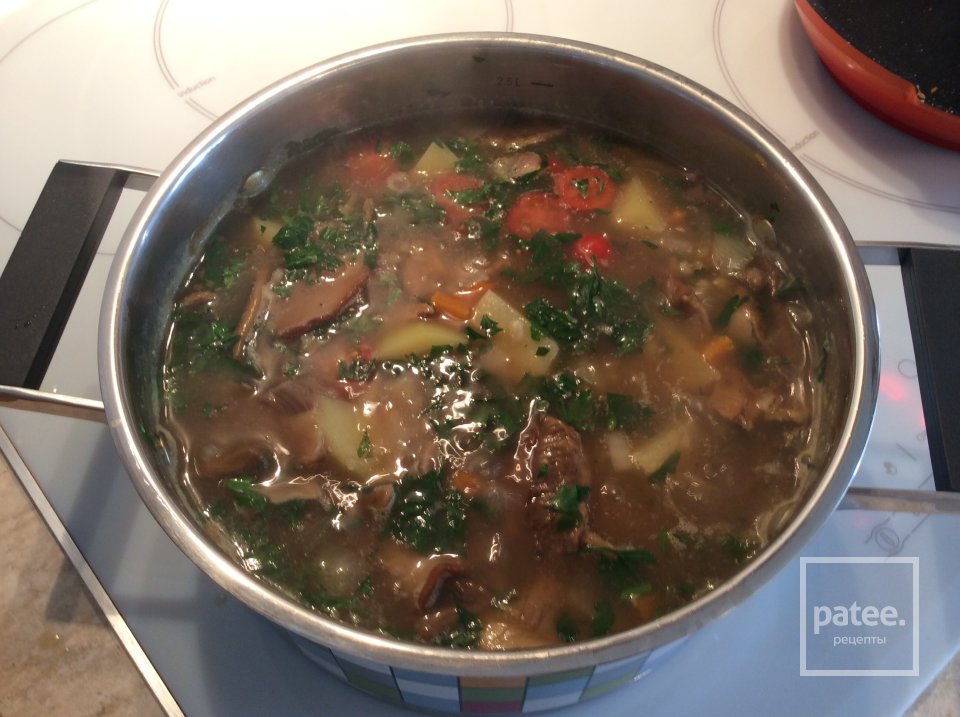 Суп из сушёных белых грибов с перловкой. - Шаг 11