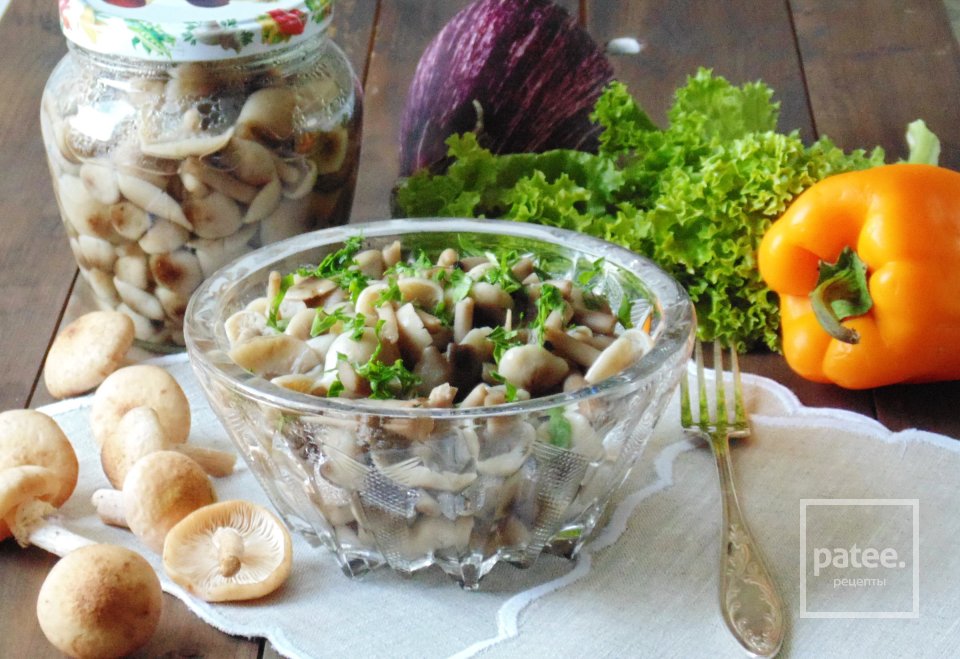 Маринованные опята - Шаг 11
