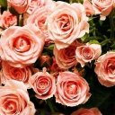 Анна Соколова