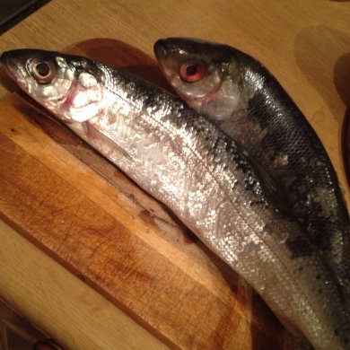 Сугудай / рыбная закуска - Шаг 1