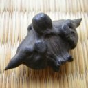 Водяной орех