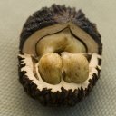 Чёрный орех