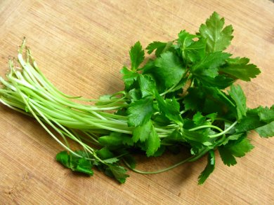 Криптотения (японская петрушка)