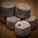 Кротен де Шавиньоль