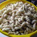 Артишок китайский