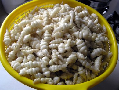 Артишок китайский