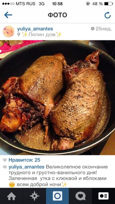 Селезень дикий - Шаг 1