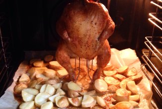 Курица деловуха