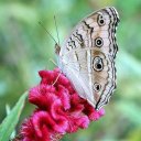 Мадина Магомедова