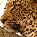 Лилия Дудко