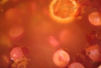 Суп Солянка