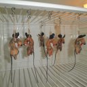 Виктория Бондаренко