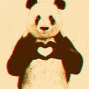 Ирина Северина