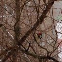 Виктория Чумакова