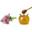 Мёд клеверный