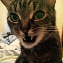 Наталия Аршанская