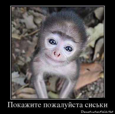 мужской эксгибиционизм