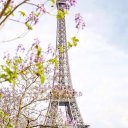 Хеда Шепиева