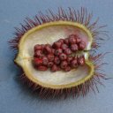 Экстракт аннато (биксин)