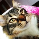 Татьяна Бухтеева