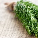 Экстракт розмарина
