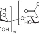 Альгиновая кислота