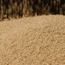 Гликан пекарских дрожжей