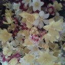 Надежда Лебедева