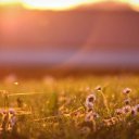 Елена Егоркина