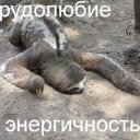 Александр Чернявский