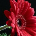 Татьяна Хижняя