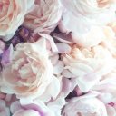 Екатерина Жук