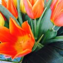 Анастасия Лукина