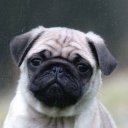 Zhenya Verzhbitskaya ♑️