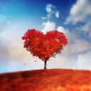 Юлия Паршуткина(Просвирина)