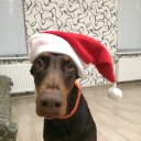 Сергей Чёрный