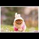 Ксения Лебедева