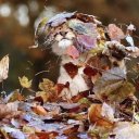 Абылайхан Нурмаганбетов