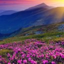 Вета Григорян