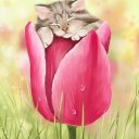 Нина Бражник