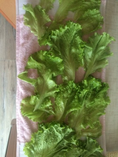 Греческий салат - Шаг 2