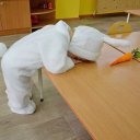 Сталина Фарафонова