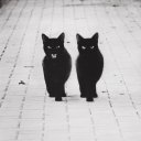 Модести Блэйз