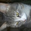 Регина Исхакова