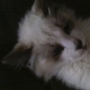 Татьяна Сиротюк