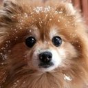 Татьяна Сиротюк