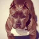 Иришка Гуль