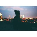 Елизавета Соколова